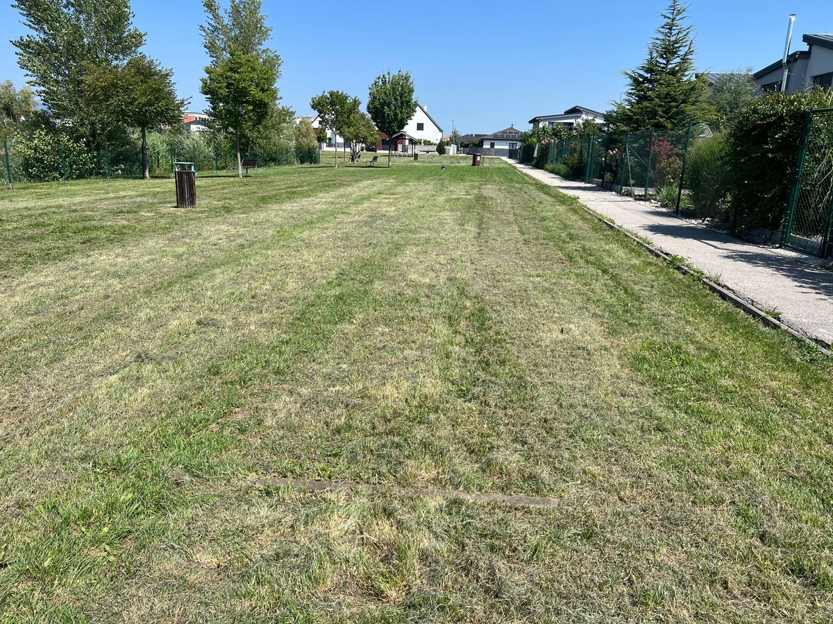 Wood in grass is teepad line.
