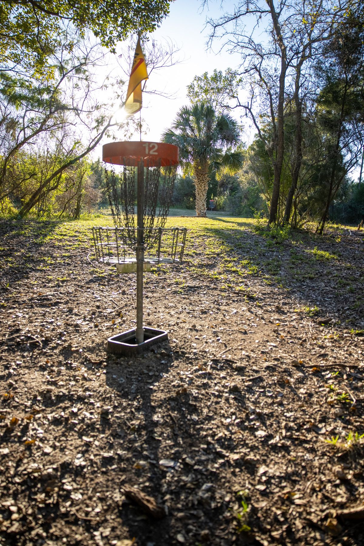 Hole 12 basket.