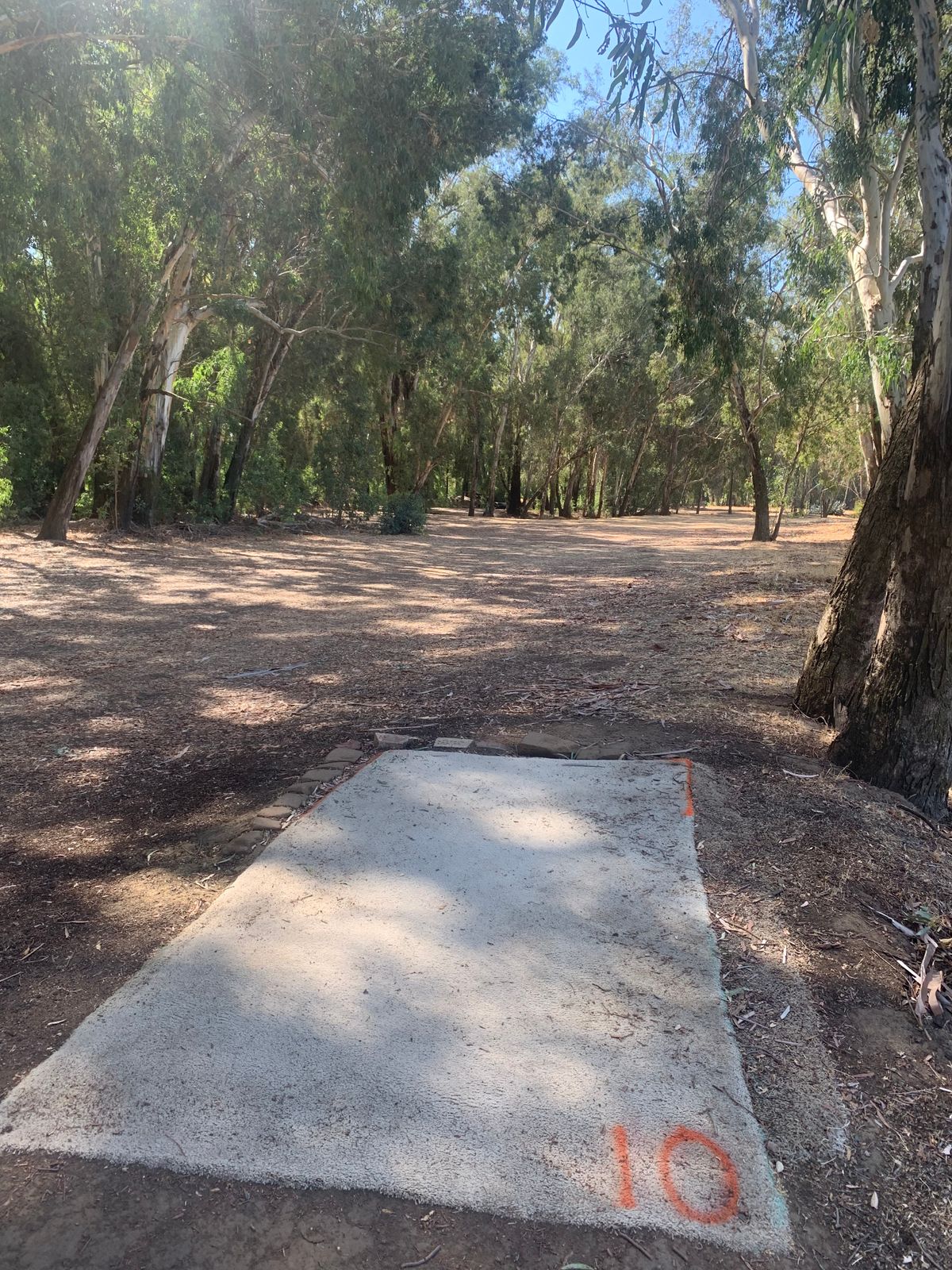 Hole #10