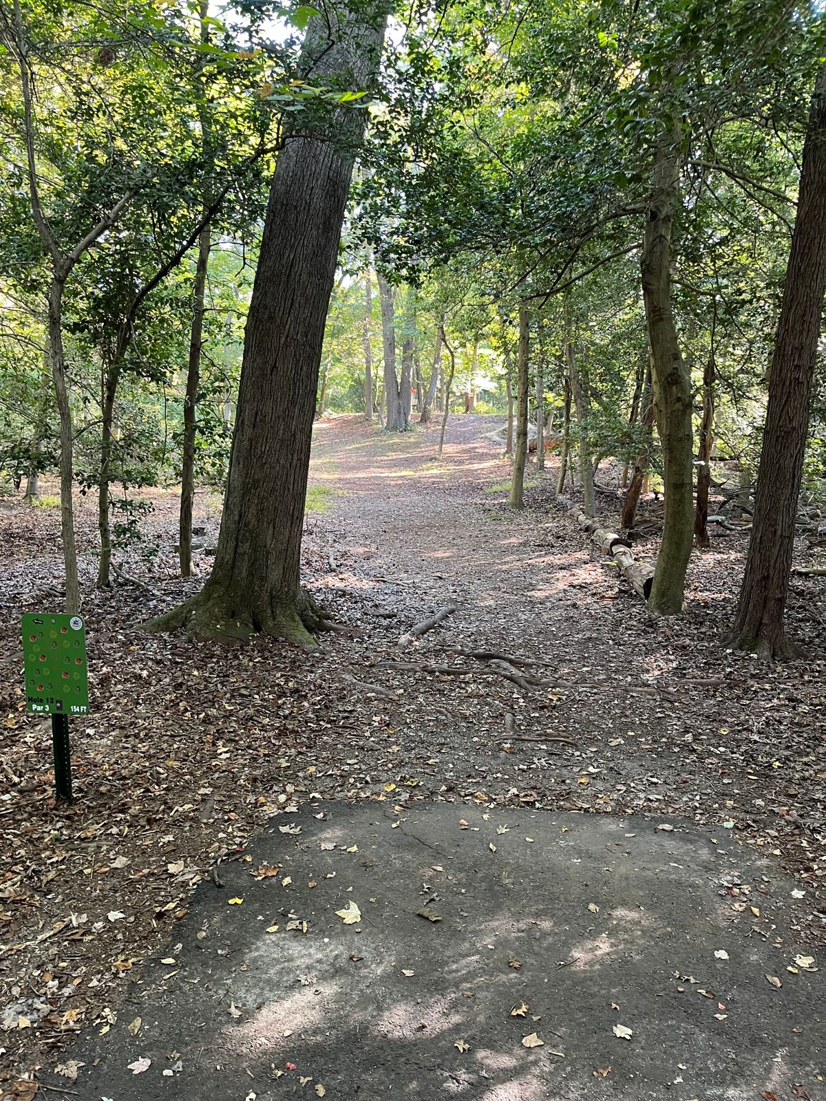 Hole 12 tee