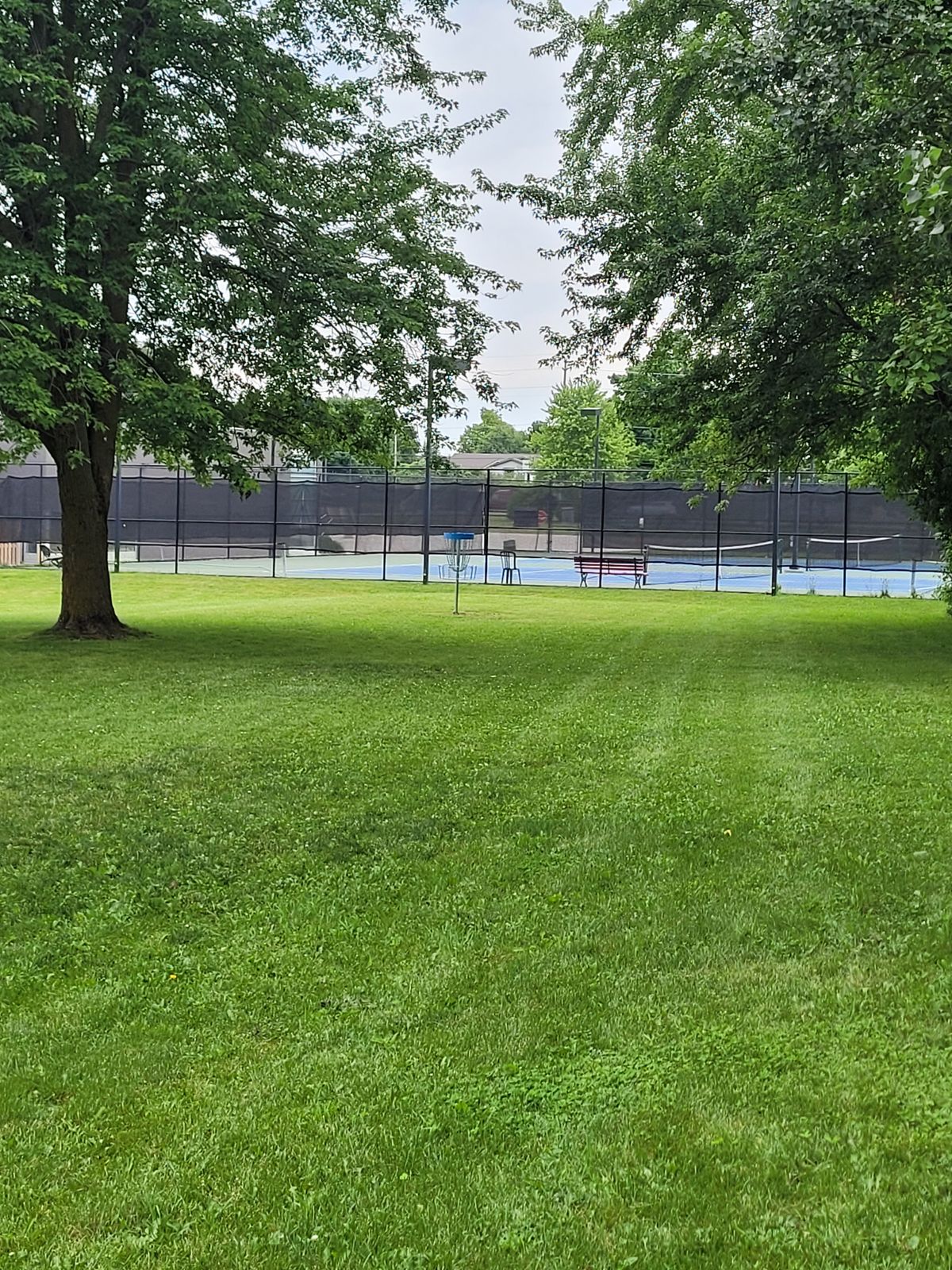 Hole + Basket #9