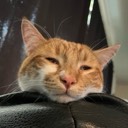 User avatar image