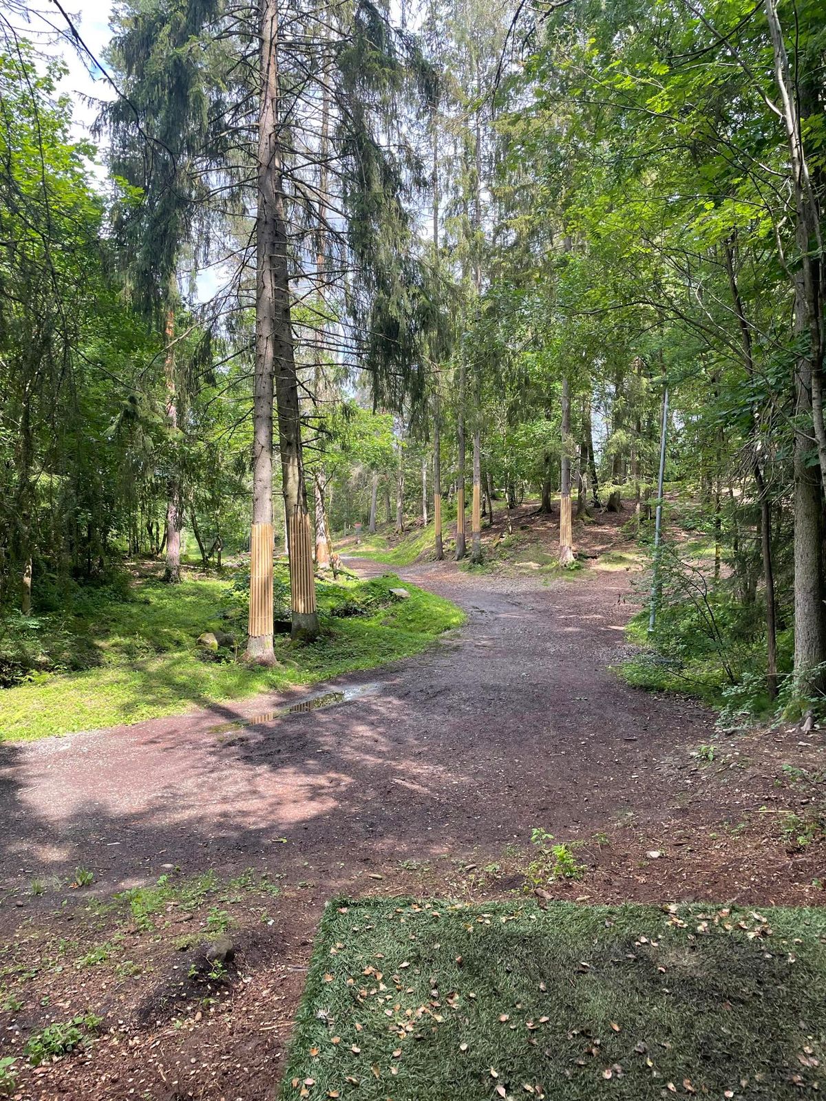 Fairway 8