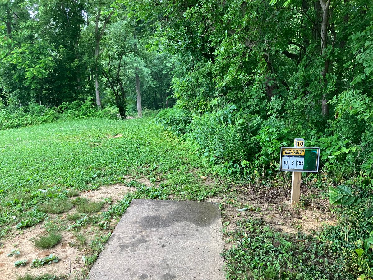 Hole 10 downhill to the right short and sweet baskets on flat ground.