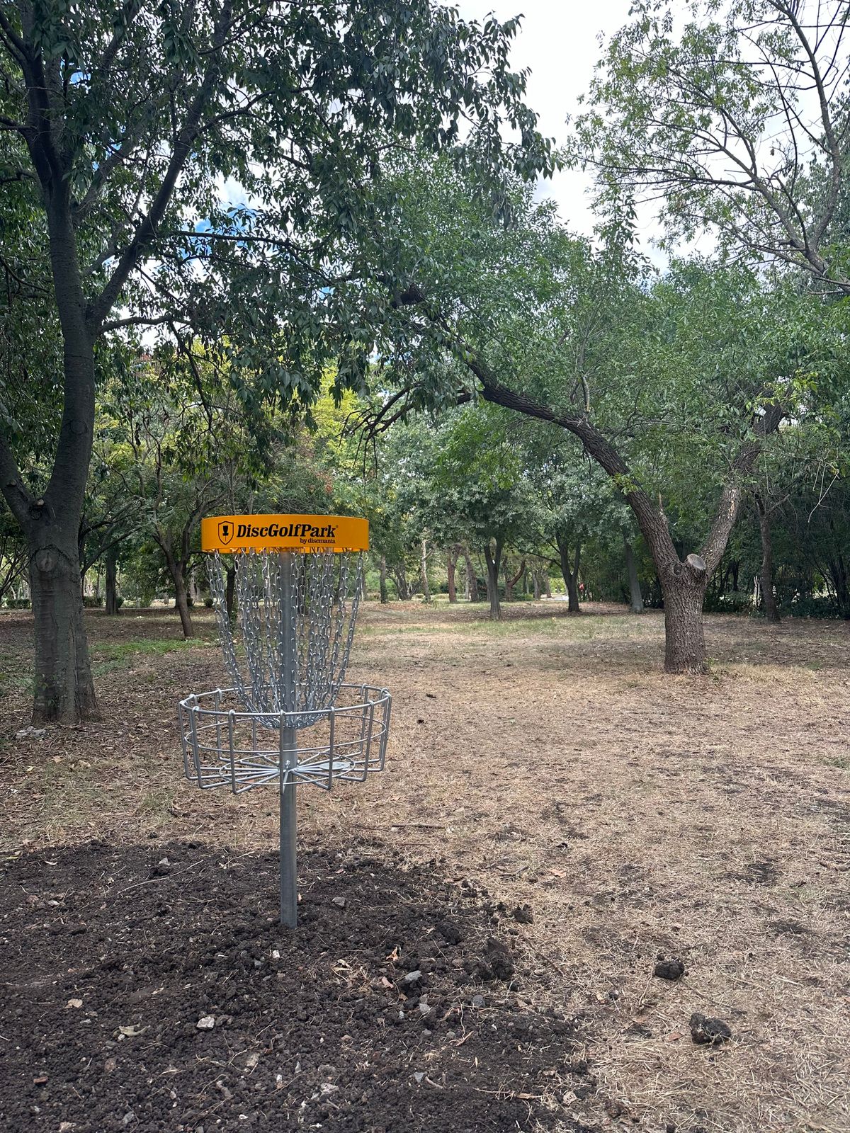 Hole #9