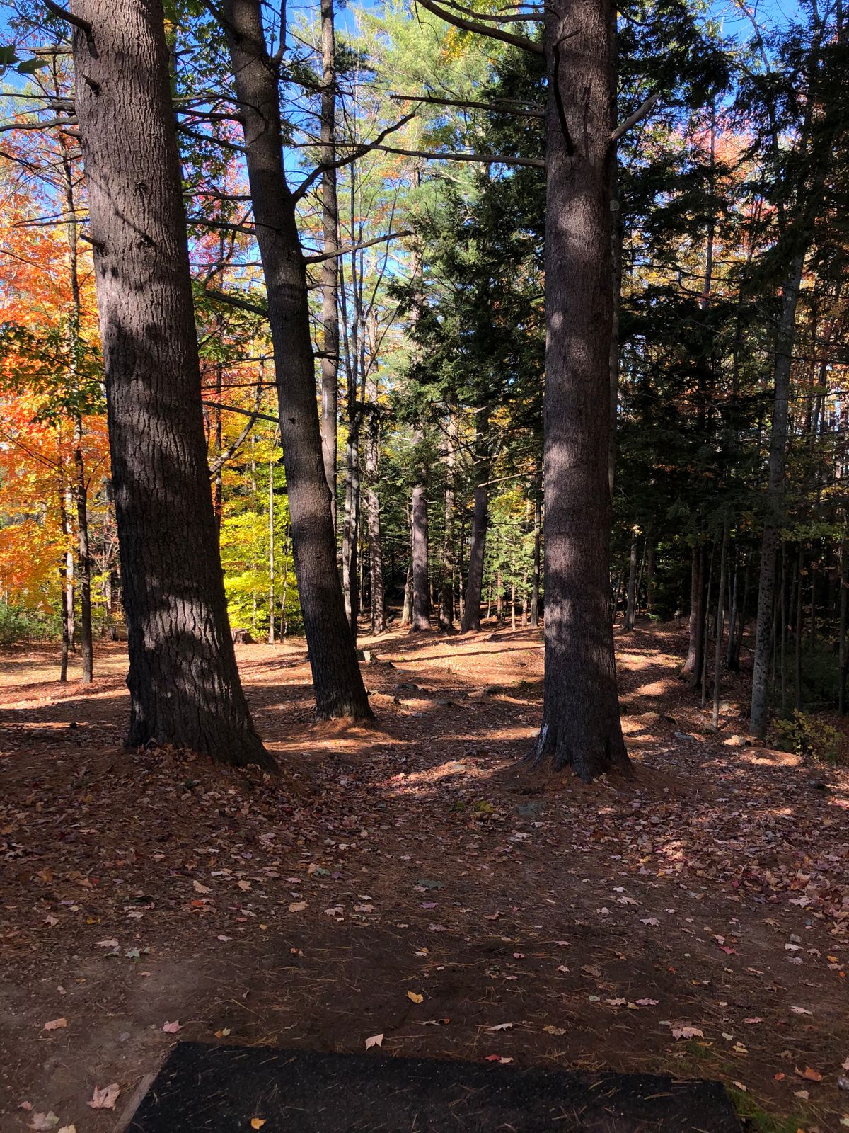 Hole 1 tee