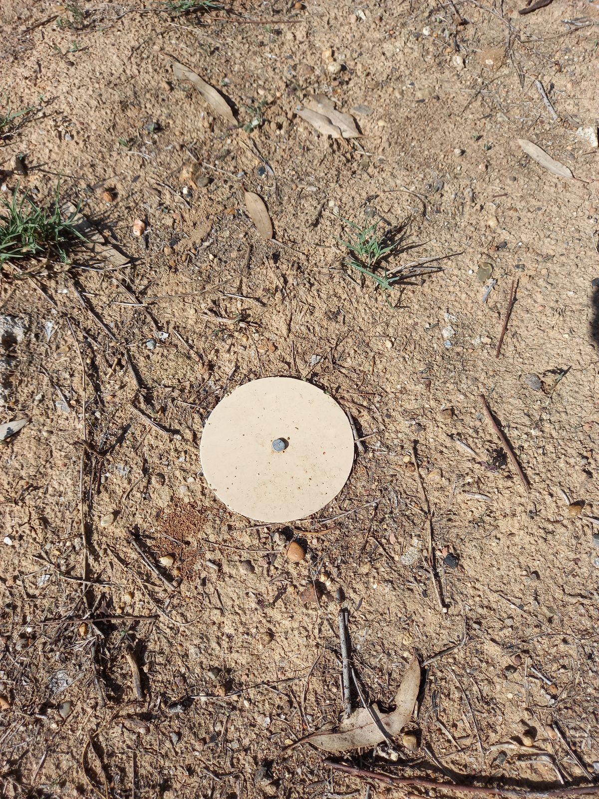 Look for 10cm plastic discs pegged into the ground to identify the white tees.