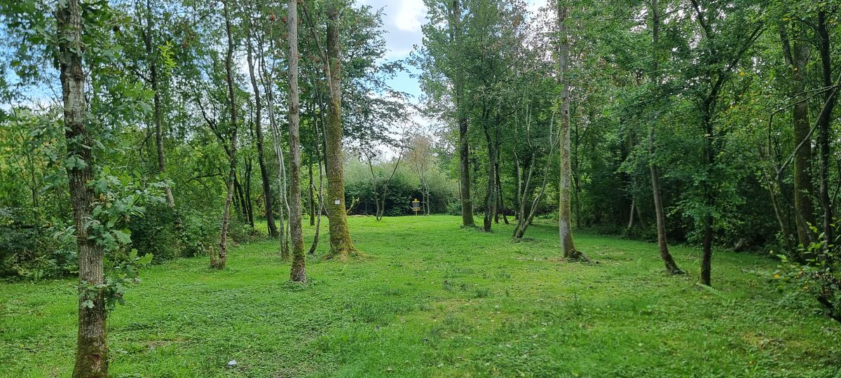 One of many beautiful Fairways, which have grass even though they are in the woods.