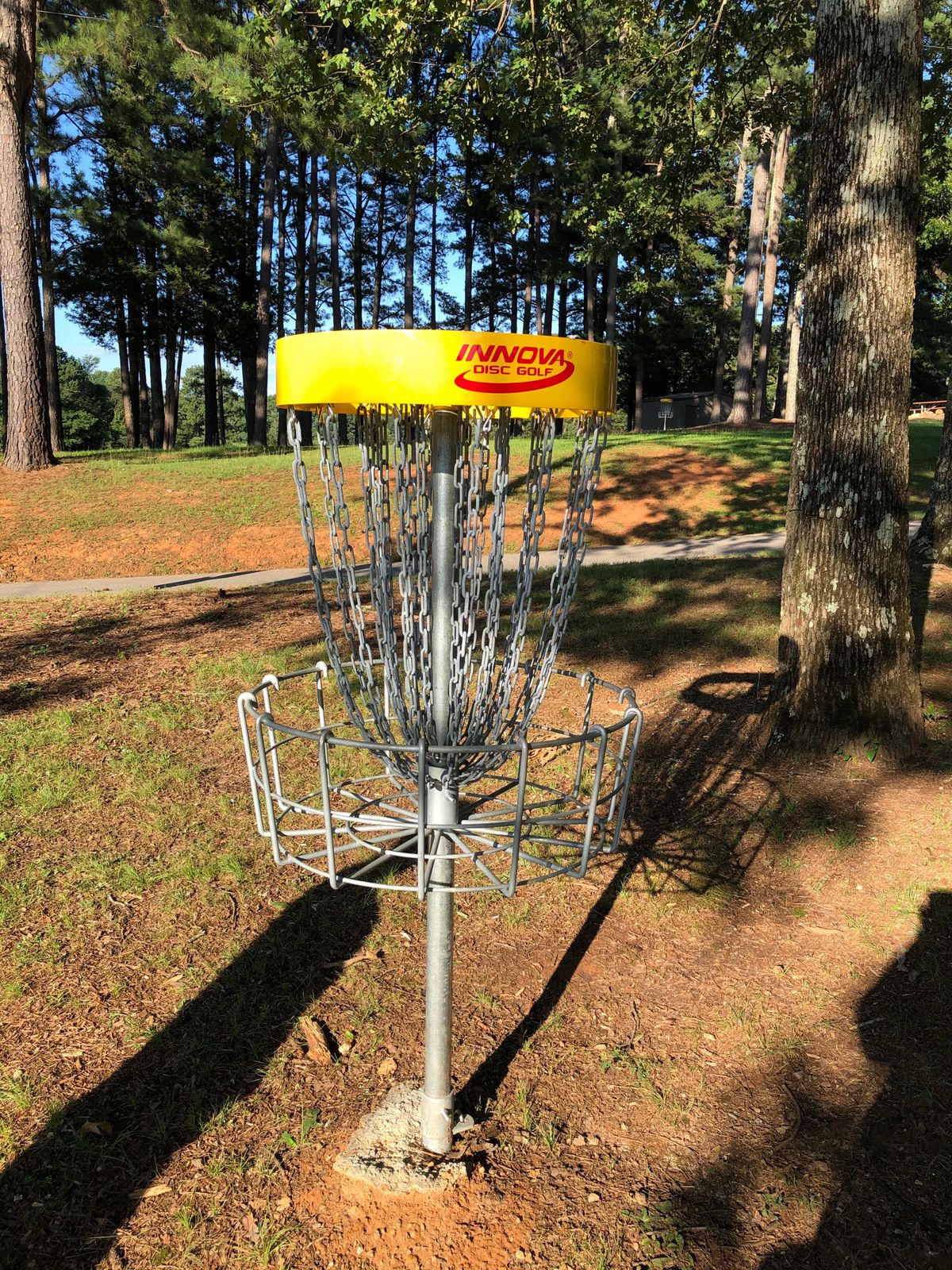 Basket for short par 2 hole #7