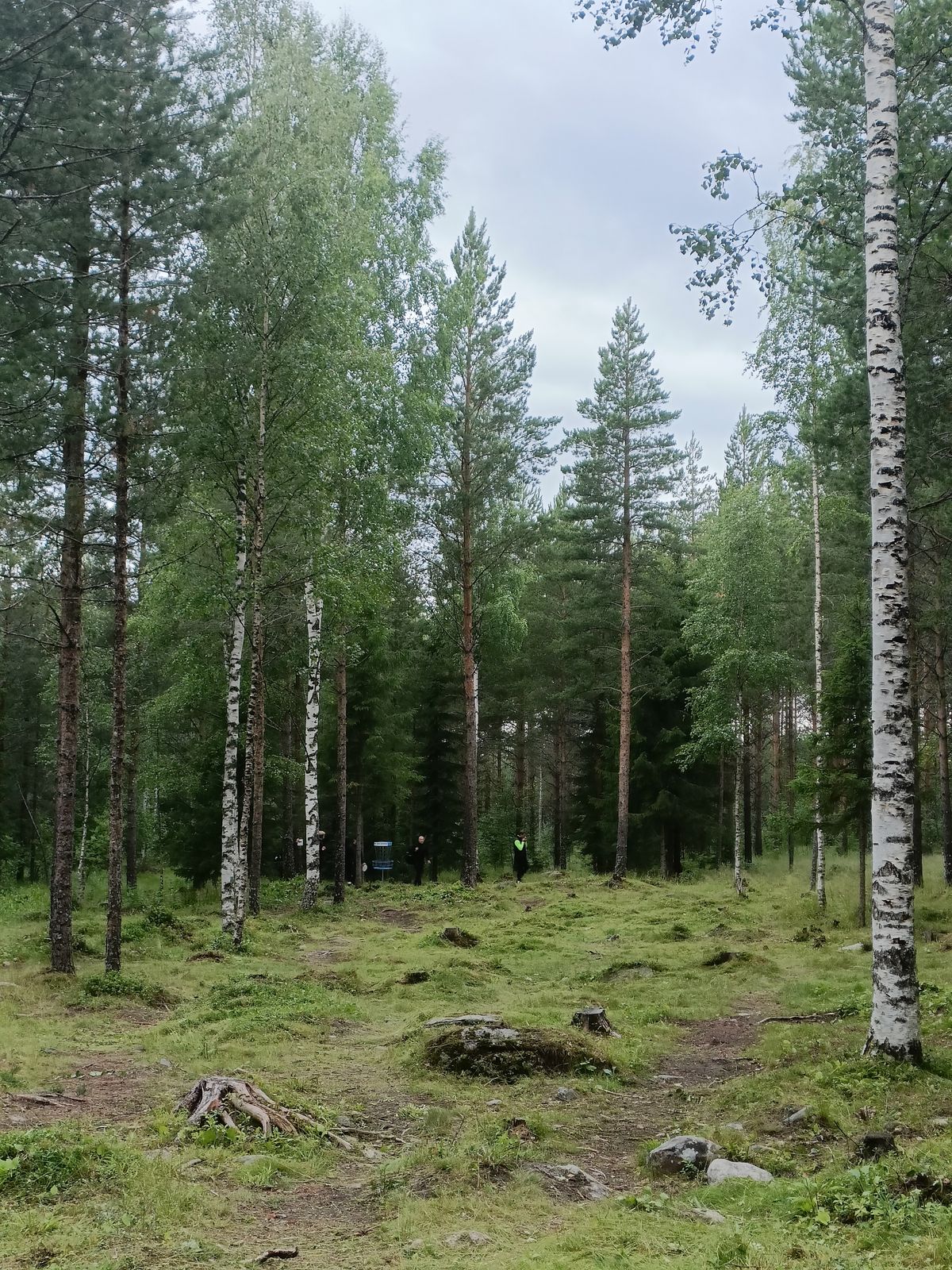 Väylä 13