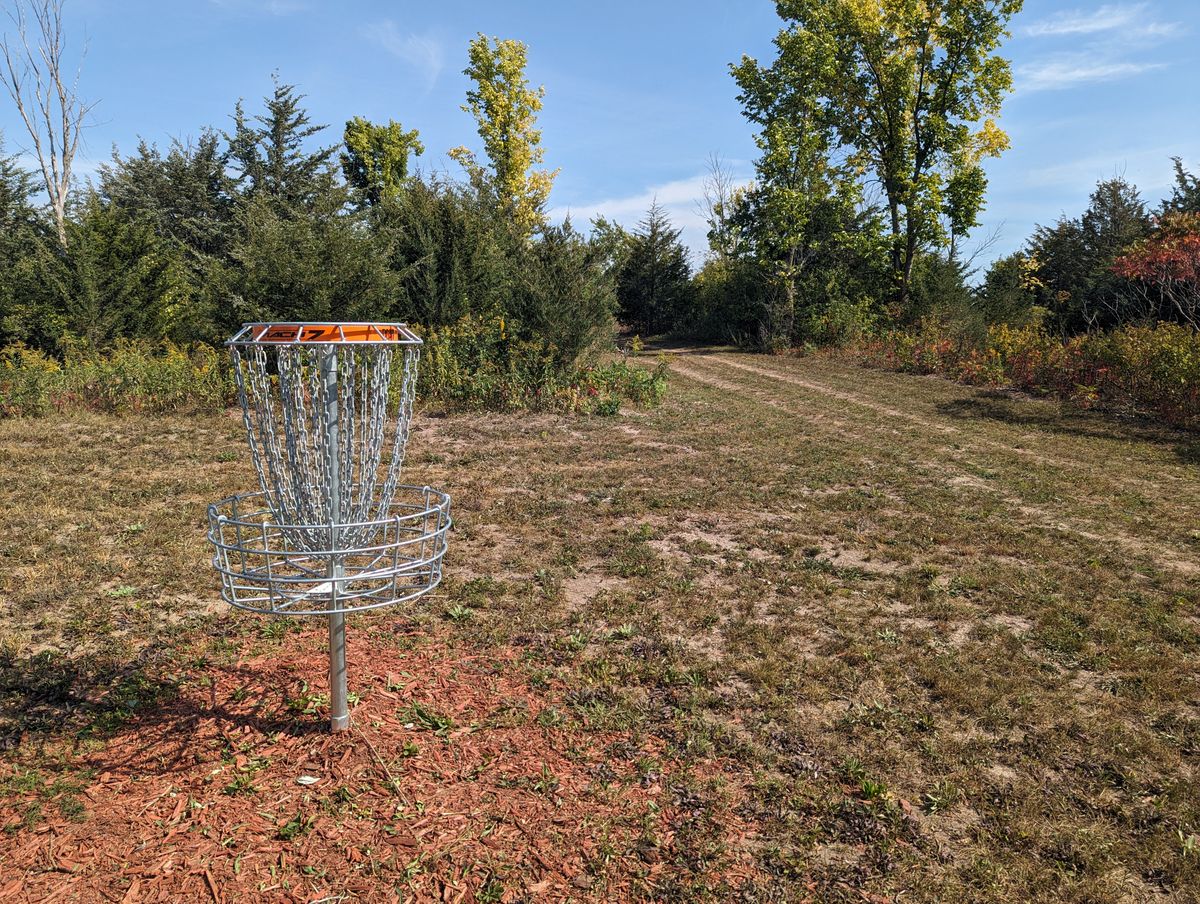 Short Basket looking back at fairway