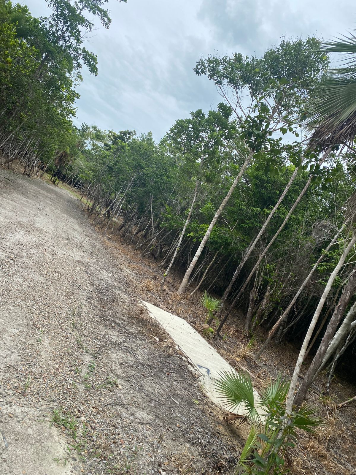 Hole 7