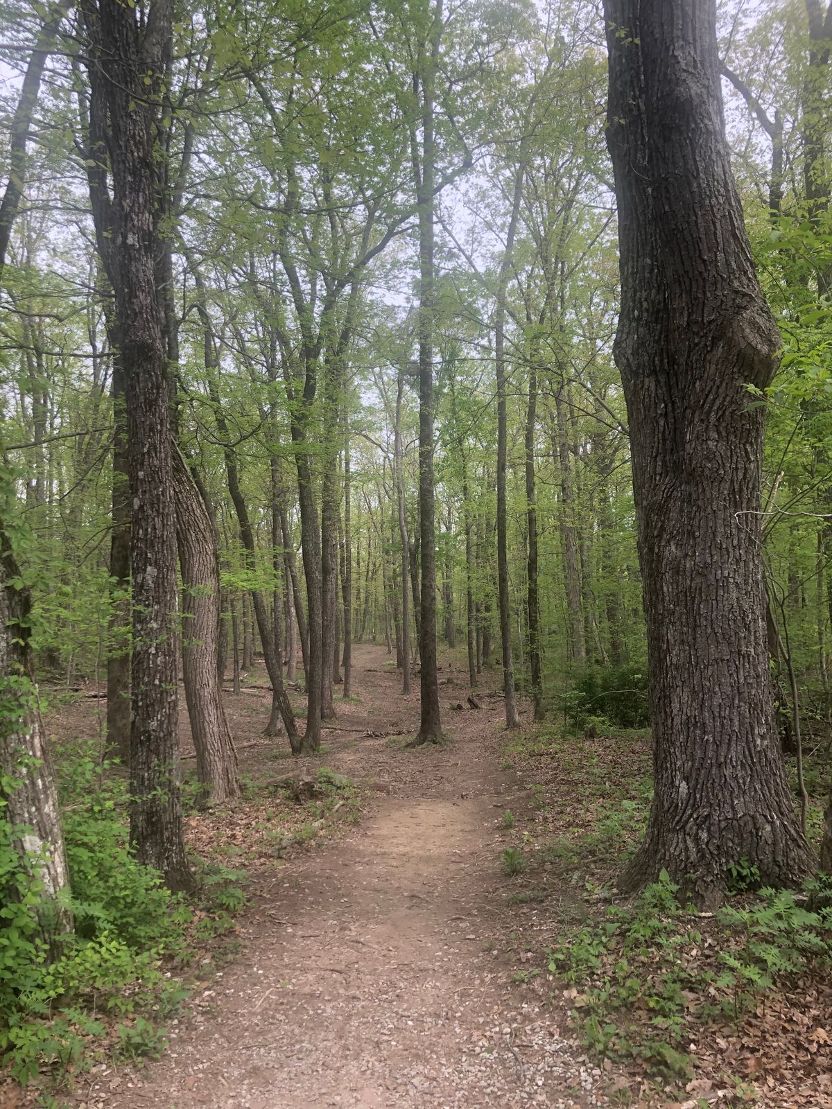 Hole 6