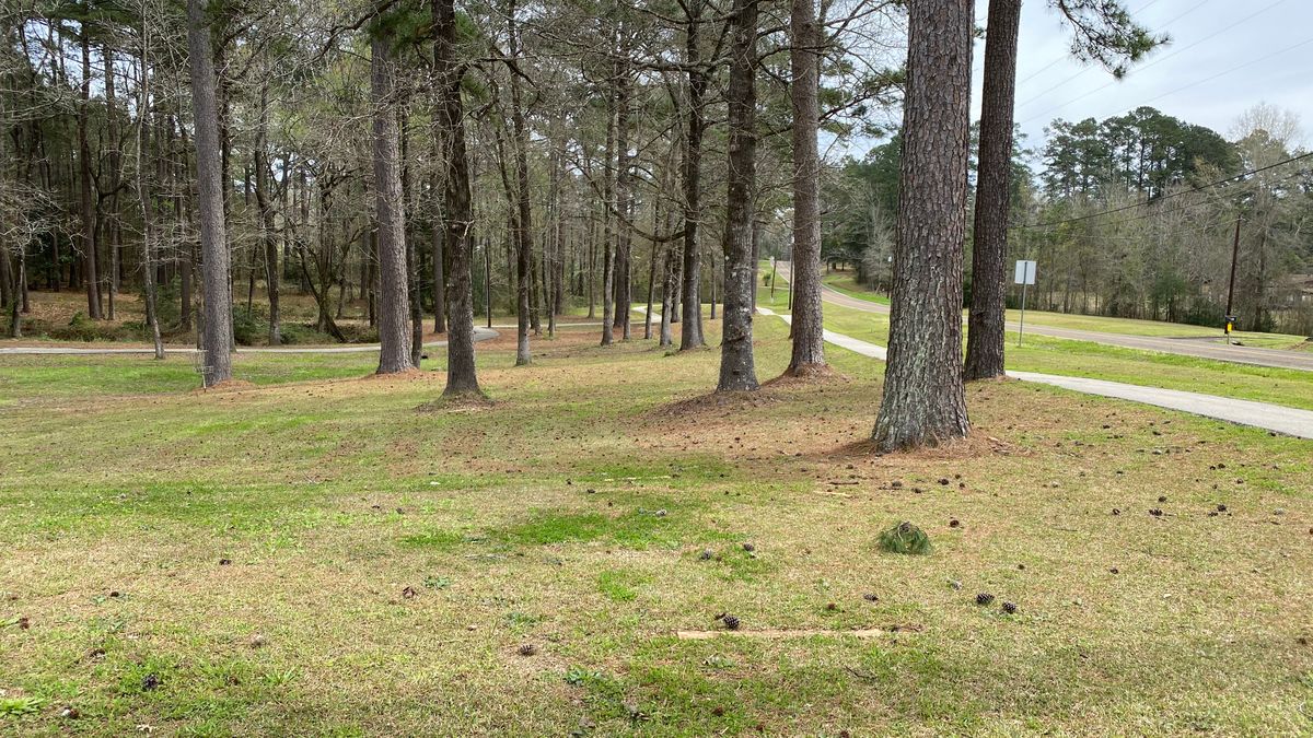Hole 1