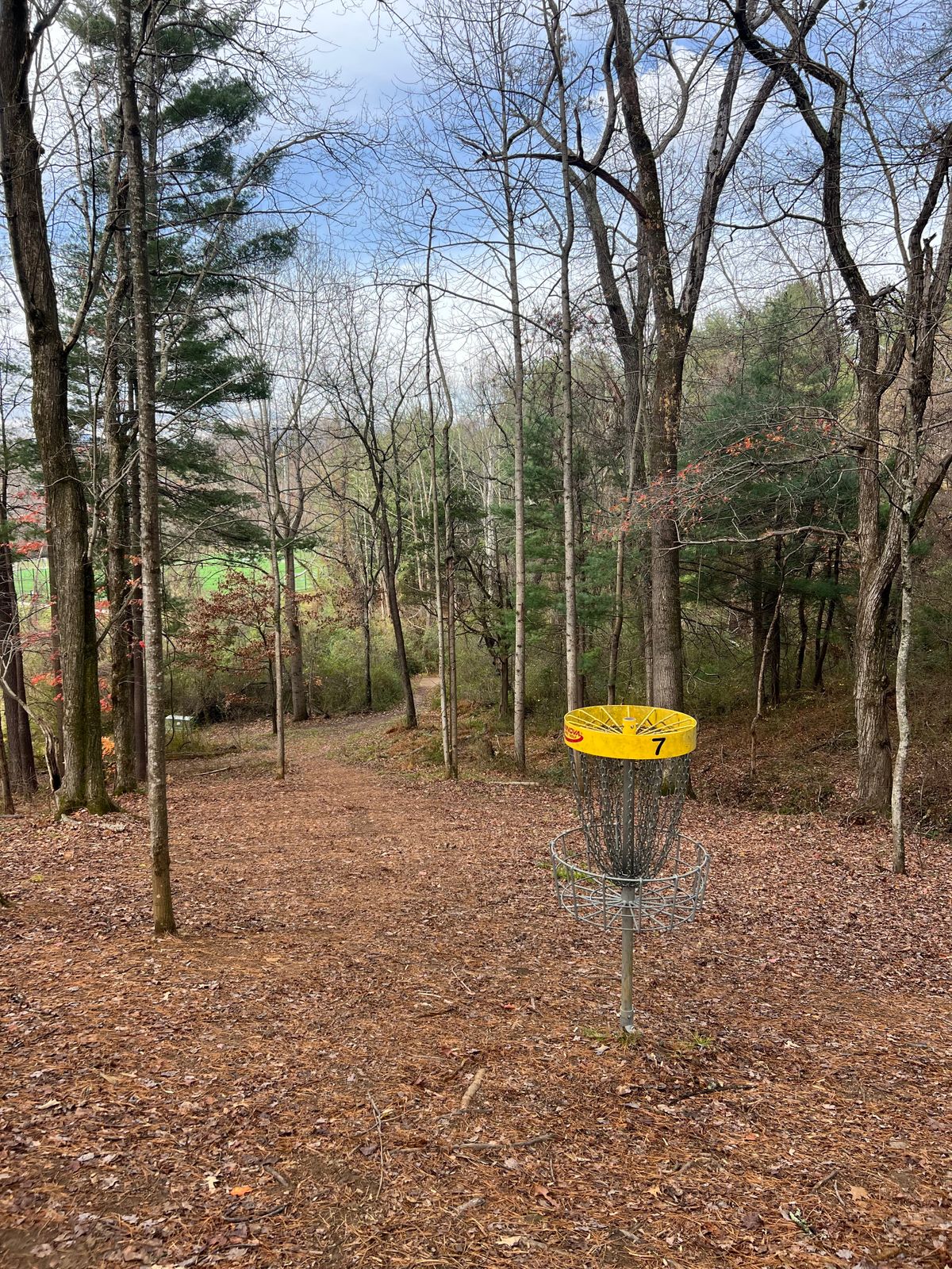 Hole 7: view from the basket back down to the tee pad.
