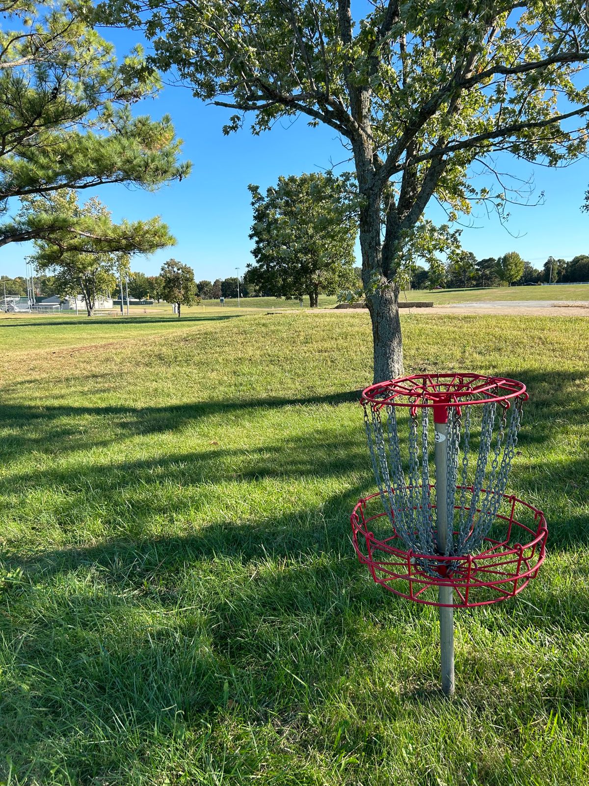 Hole #3 from the basket