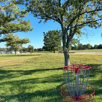 Hole #3 from the basket