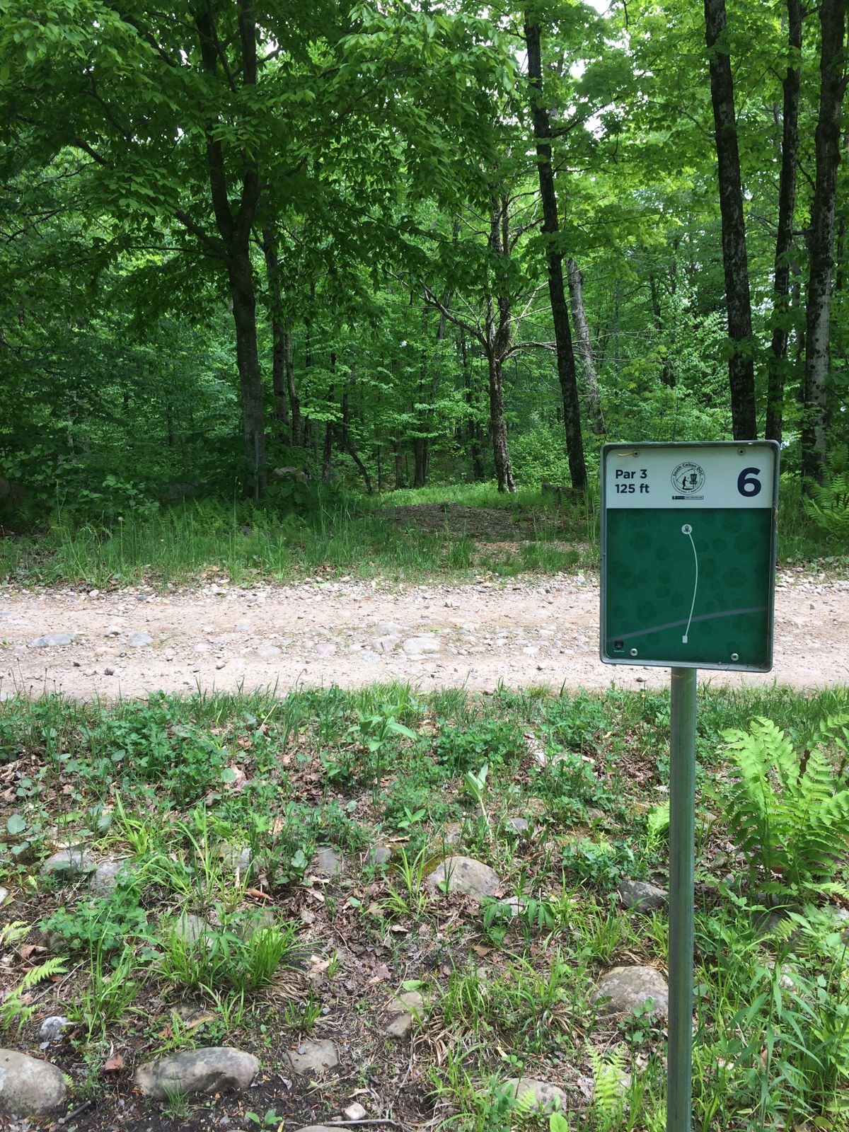 Hole 6
