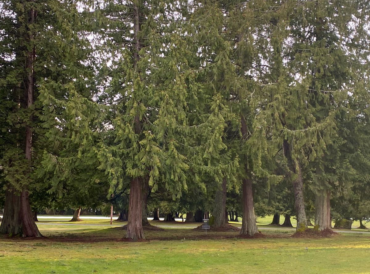 Hole 18 ‘Double delight’ green