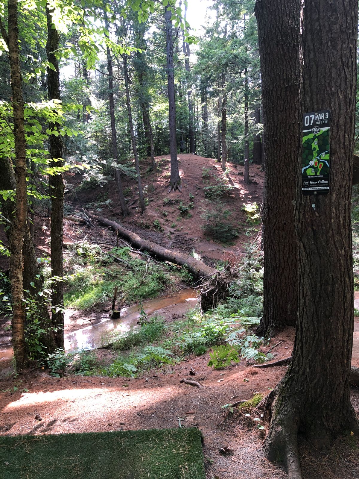 Hole 7. Up the hill!