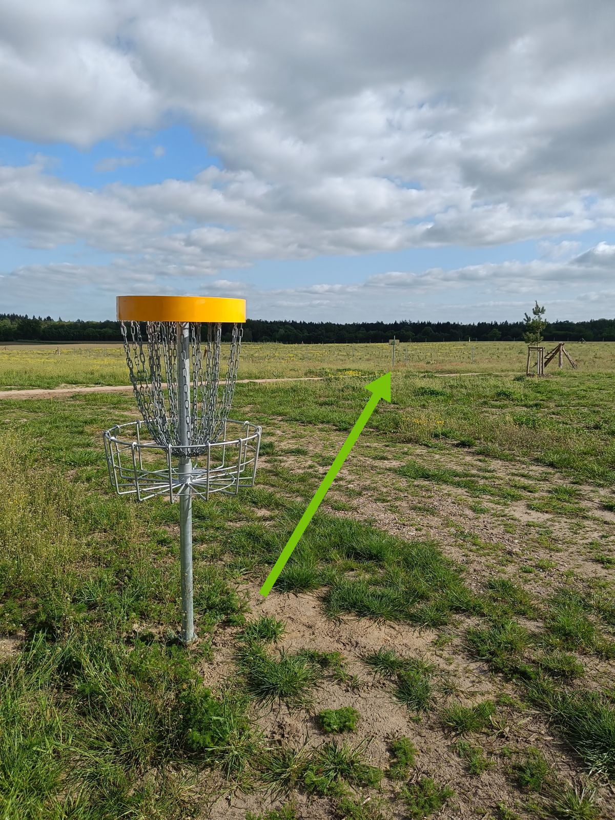 Korb 7
Weg zu Tee 8