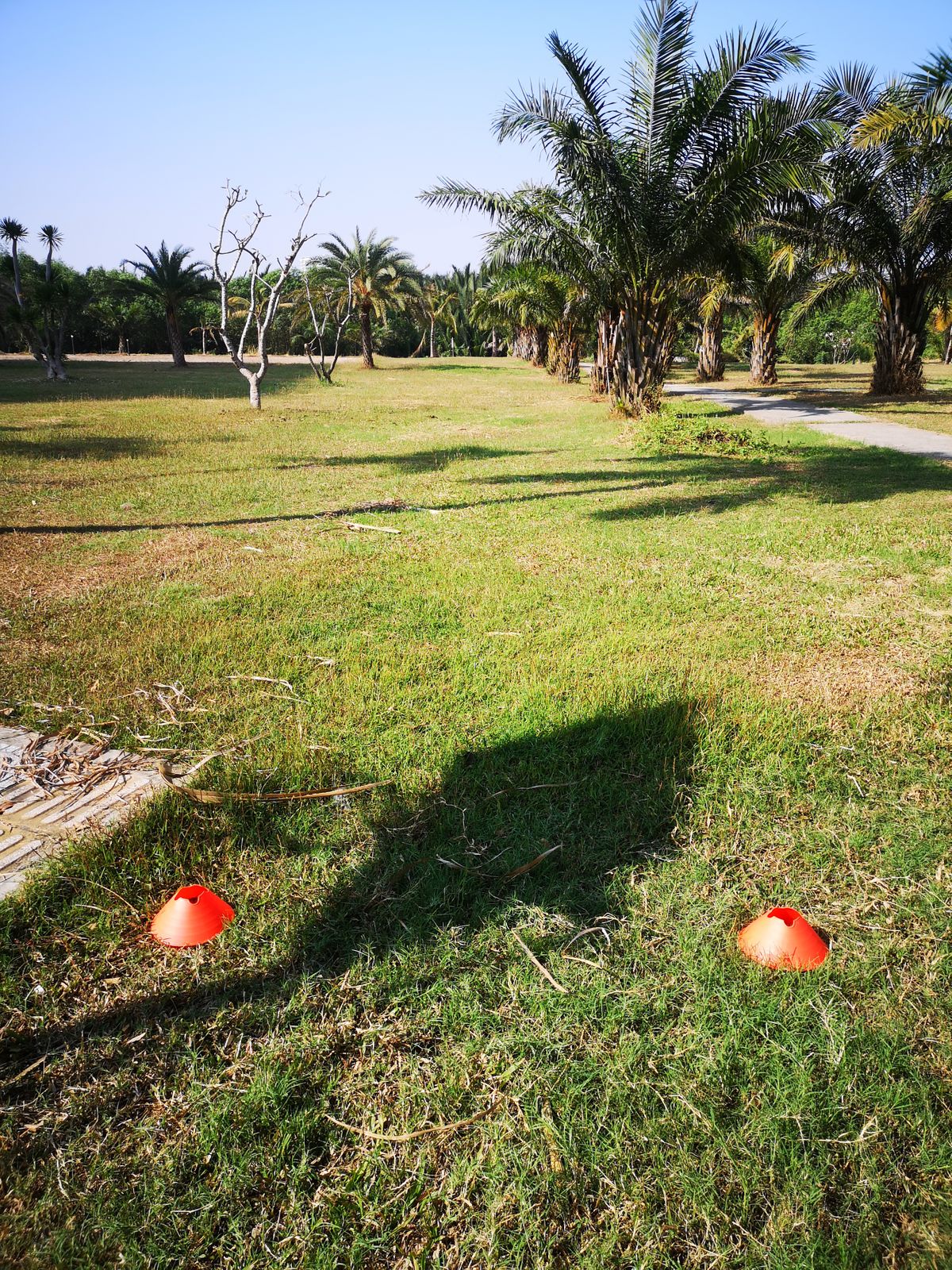 Hole 1. Nice straight shot about 86m. The sand to the left plays as a hazard. OB path to the right.