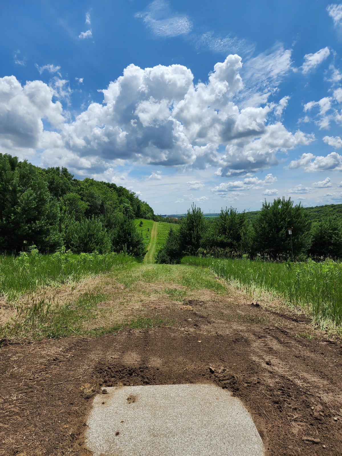 Hole 6