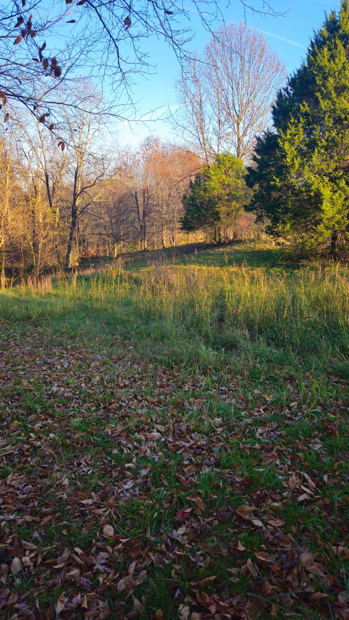 Hole 2