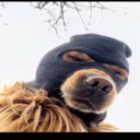 User avatar image
