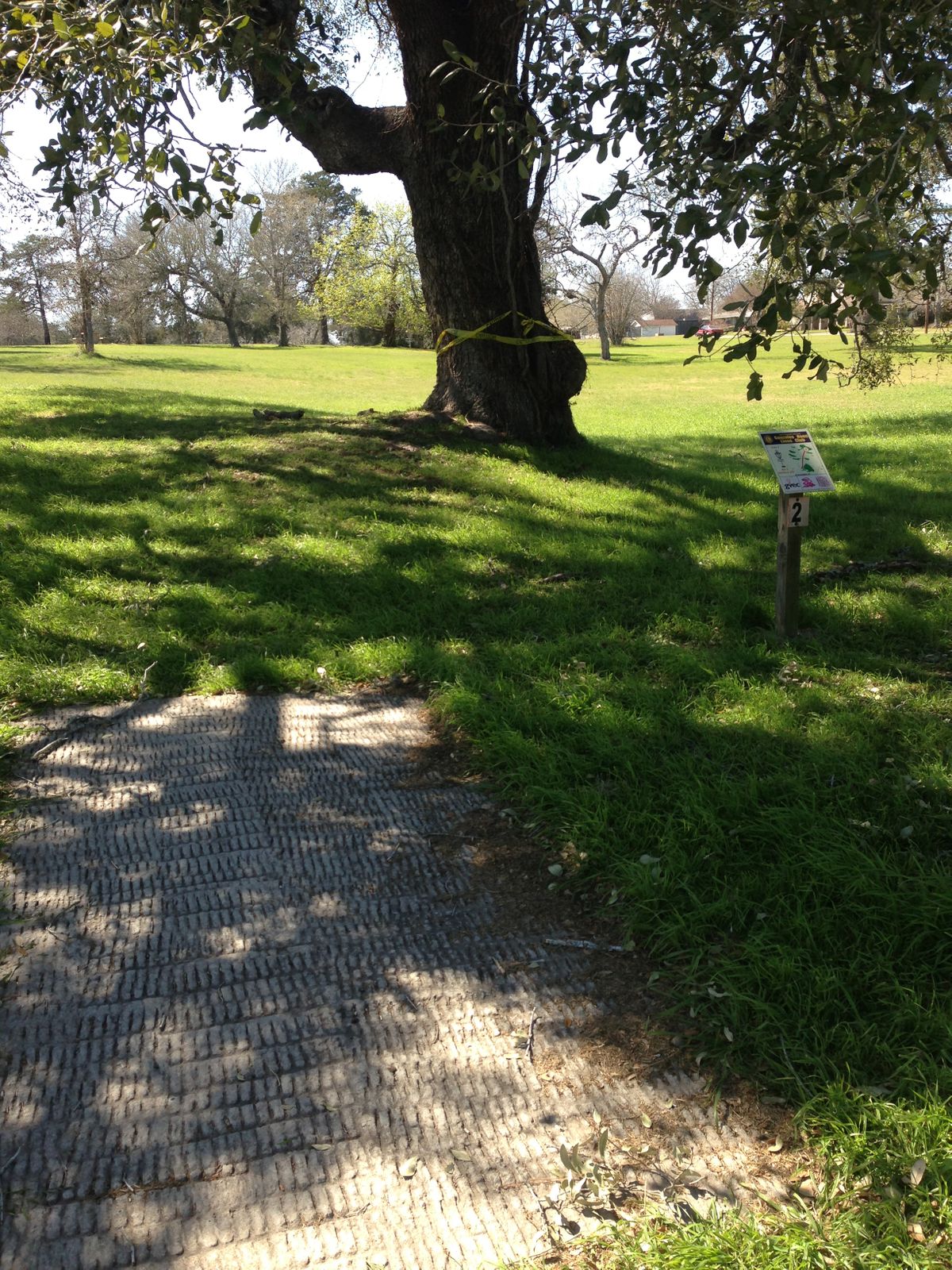 Hole 2