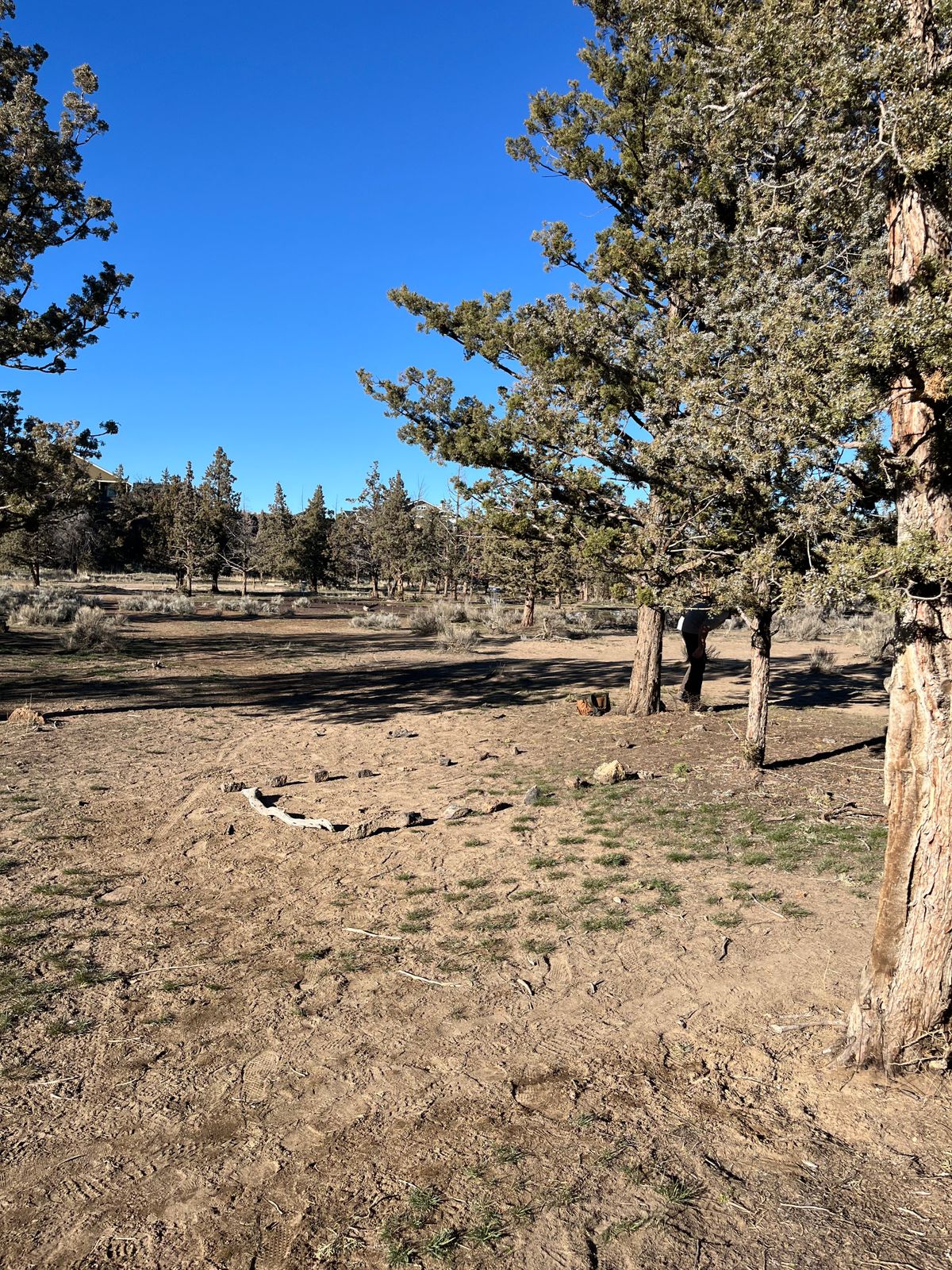 Temporary 8th tee