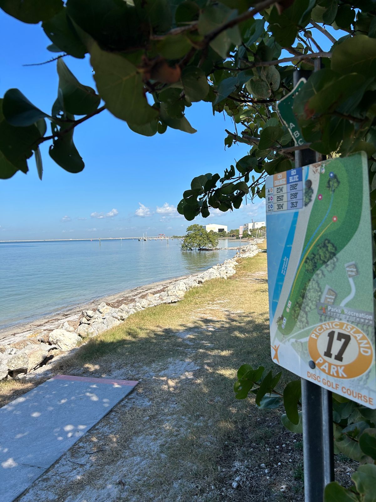 17’s view