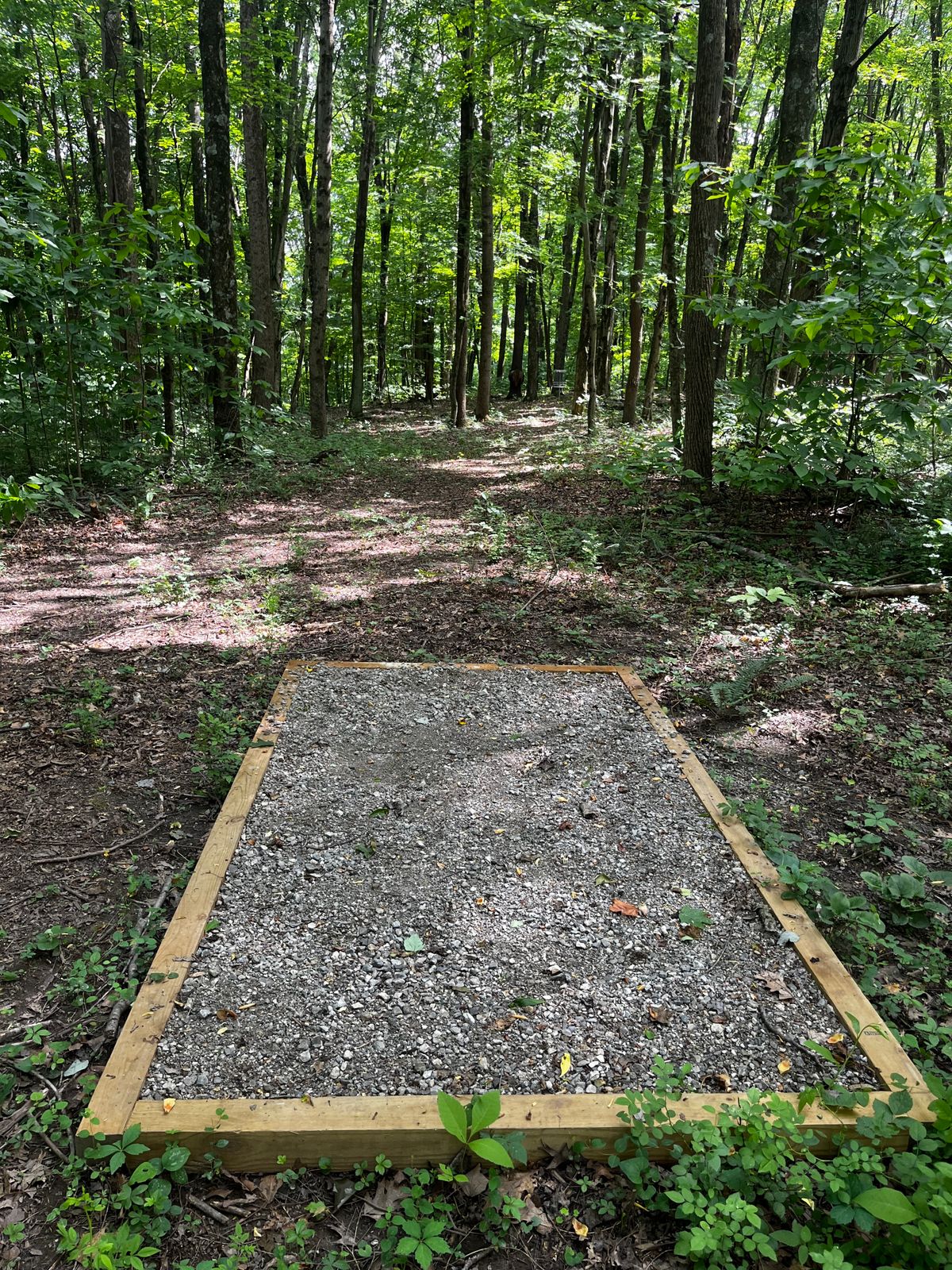 Hole 15 from tee pad