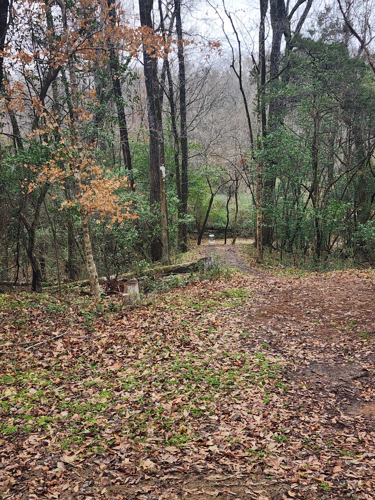 Hole 9