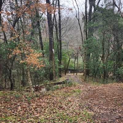Hole 9