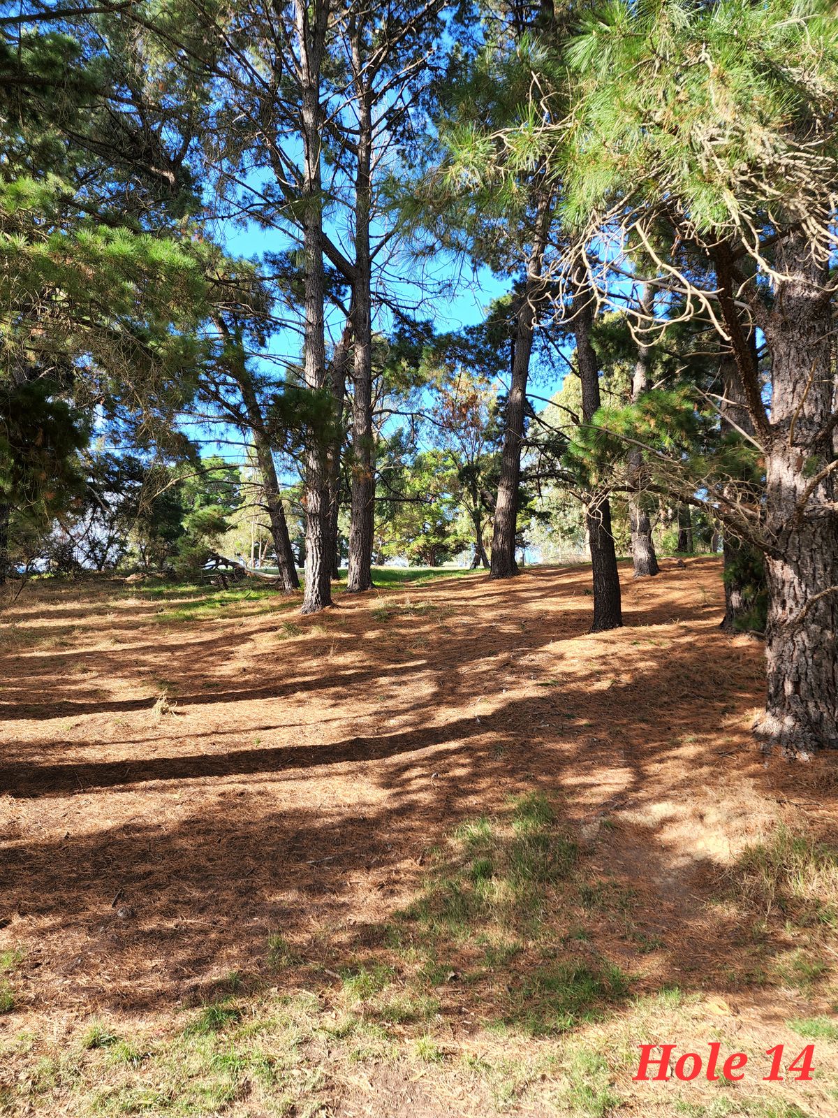 Steep hyzer through the gap to open up a high forehand to the pin. Throw as hard as you can if you want a backhand approach.