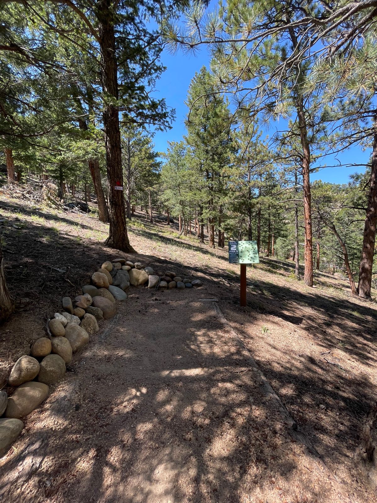 Hole 2 tee