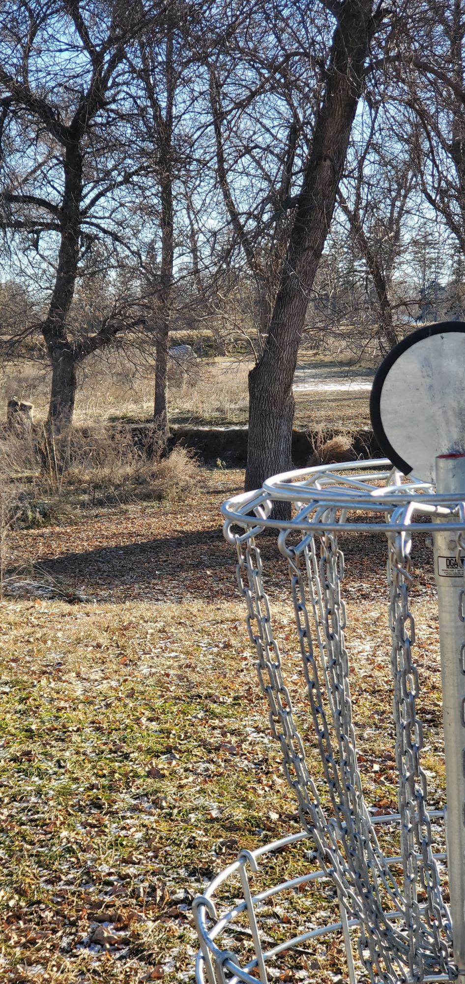 7 basket to tee