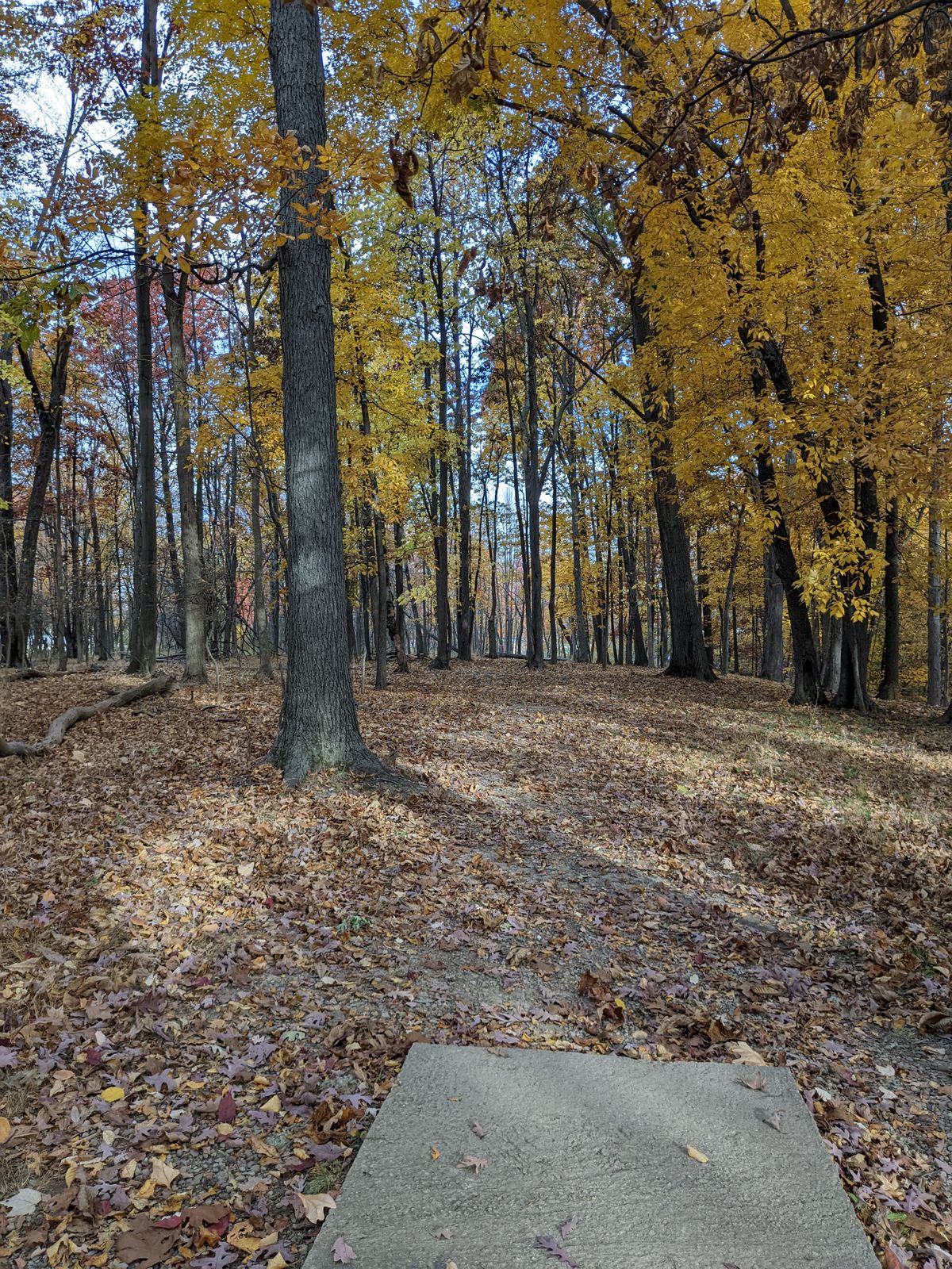 Hole 9 tee