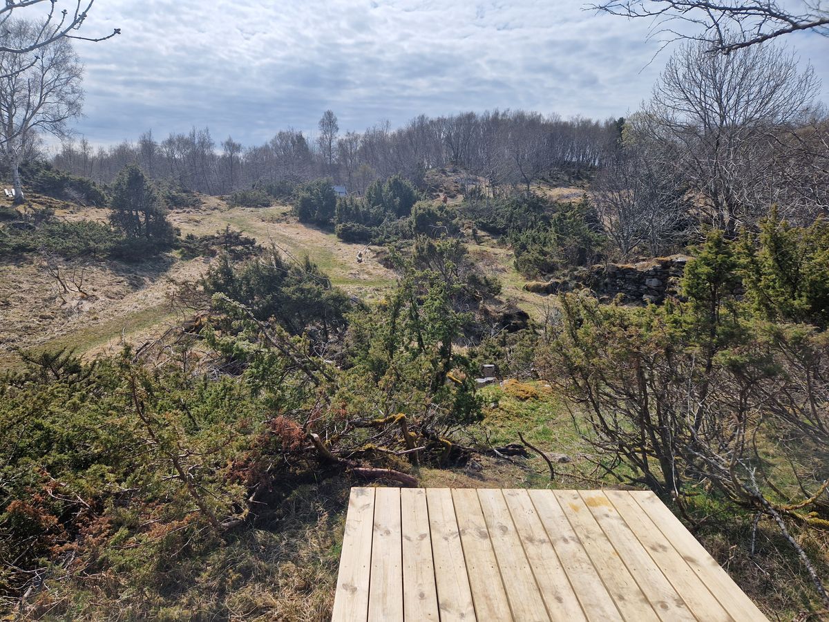 tee 2
