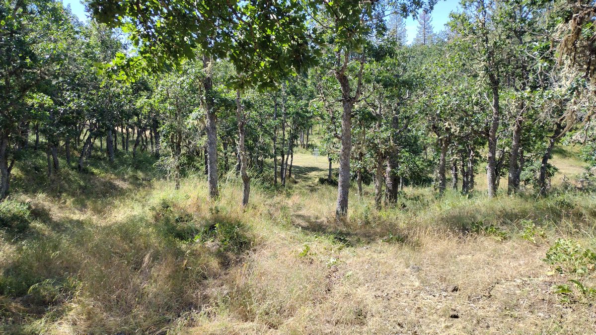 Hole 12
