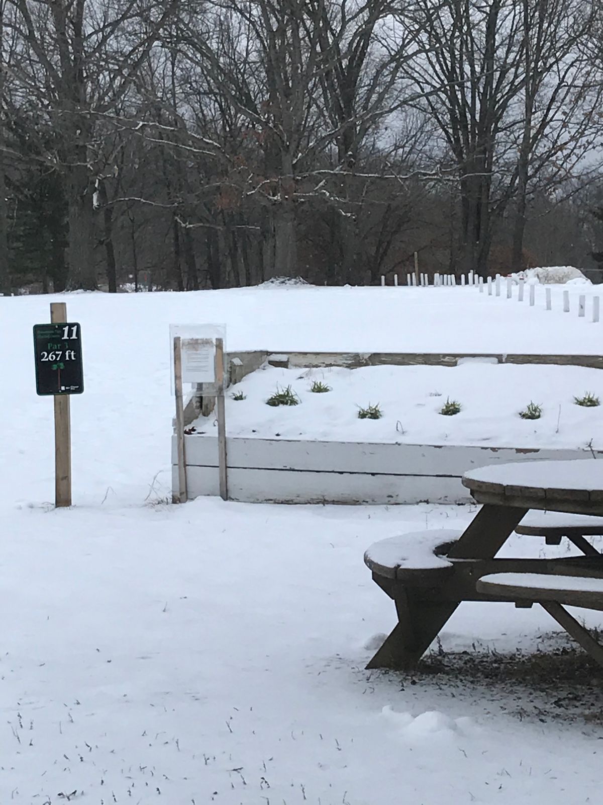 Dec 26 - hole 1