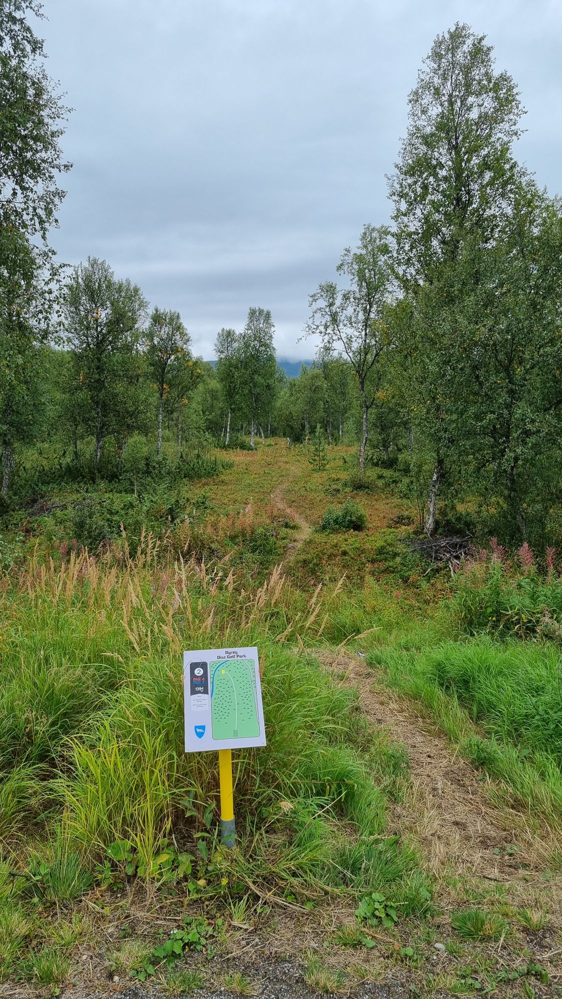 Tee 10