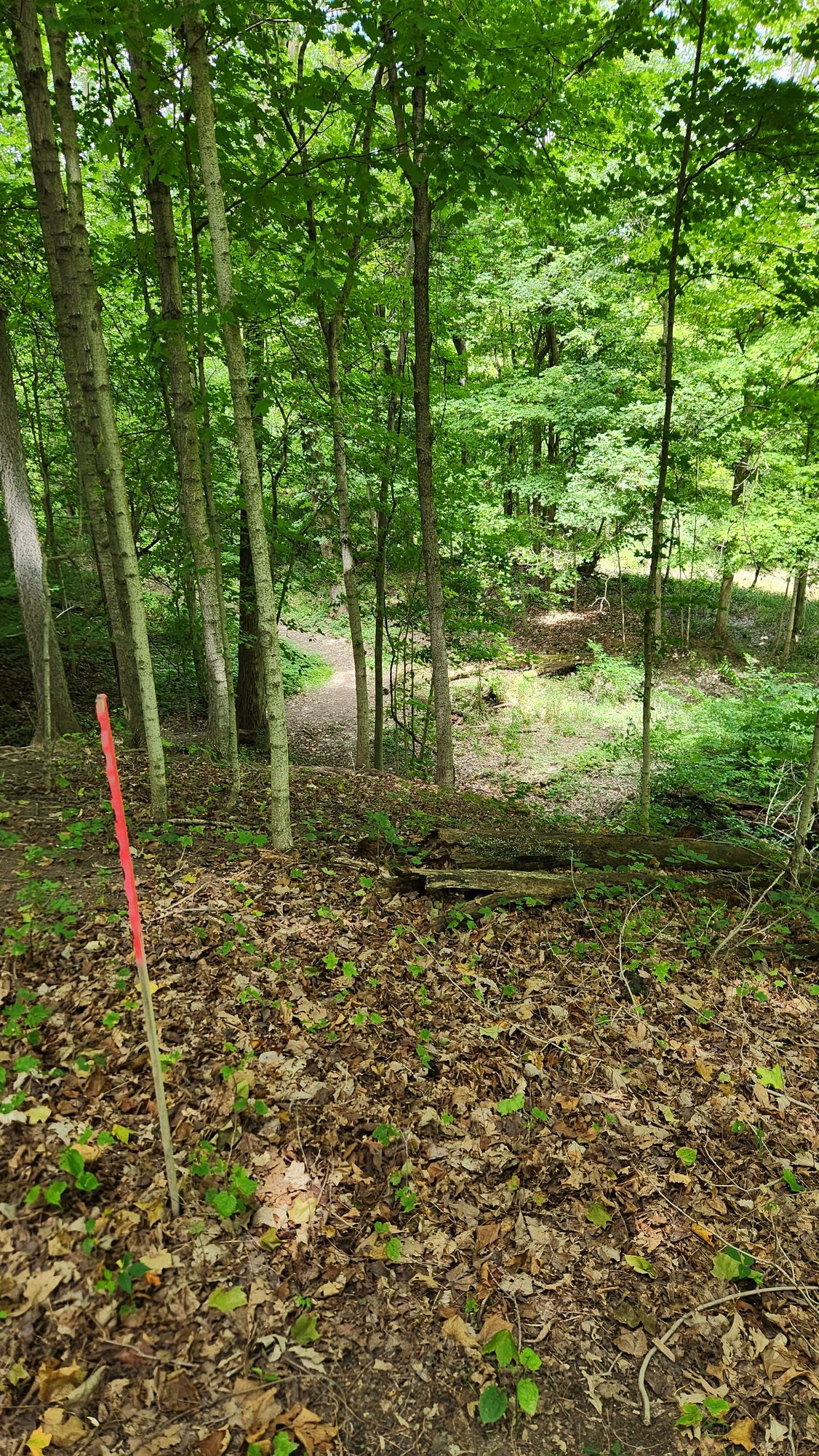 Hole 11 view from tee