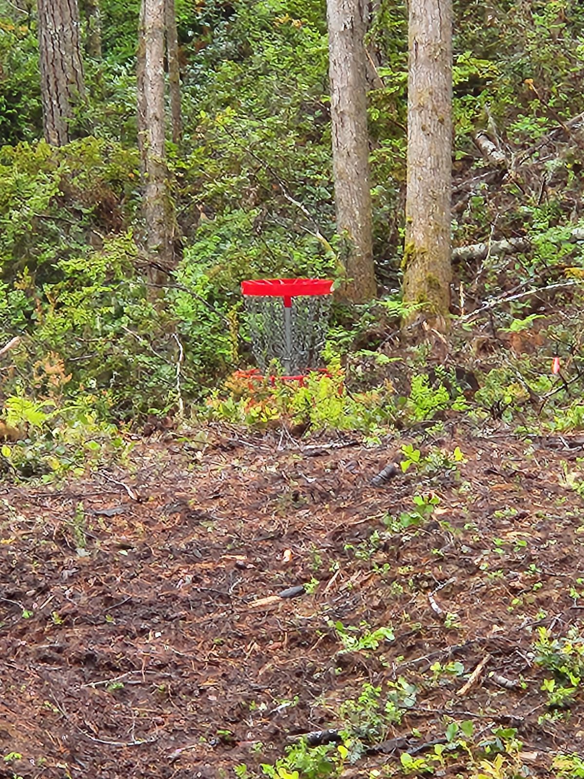 Hole 11 Basket