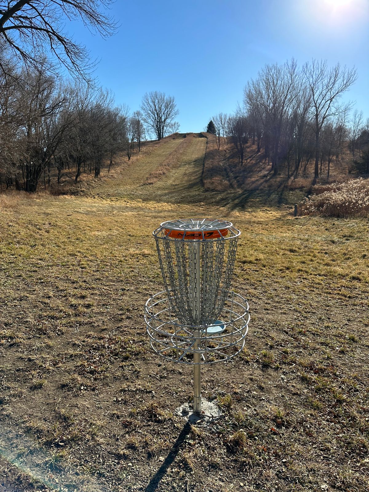 Hole 3 Basket Looking Back At Teepad.