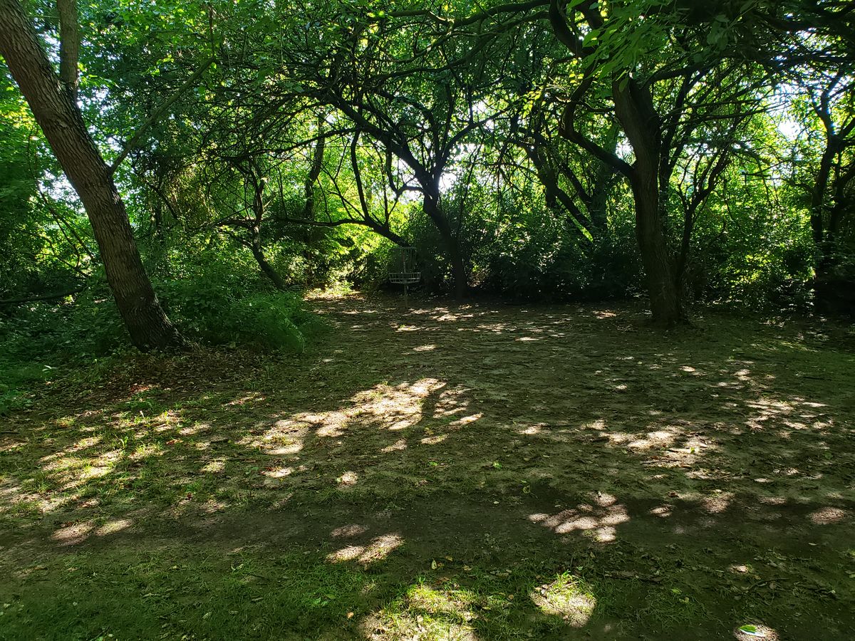 Hole 5 Basket