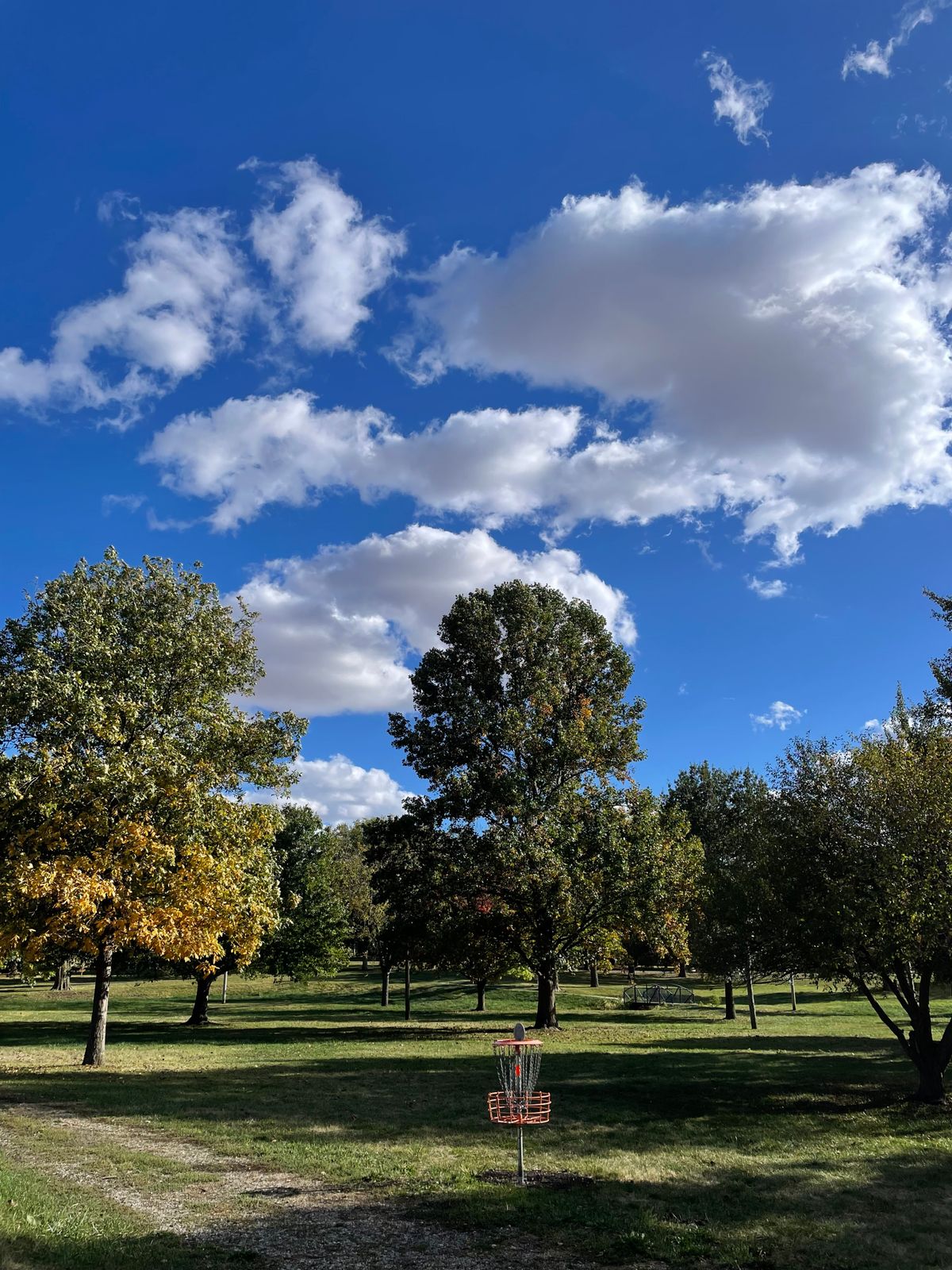 Basket of hole 14