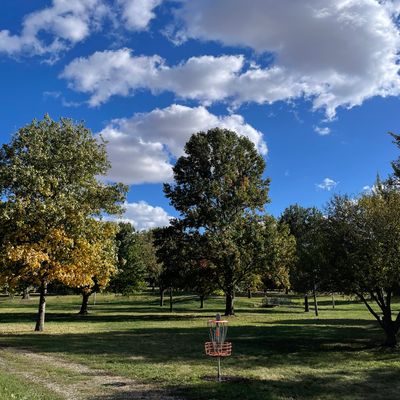 Basket of hole 14