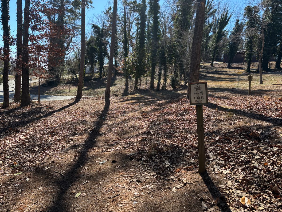 The basket is behind that cluster of trees so you have to throw a hyzer to the right